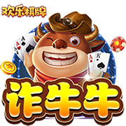 斑鸠哥是什么梗